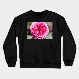 Pink rose Crewneck Sweatshirt